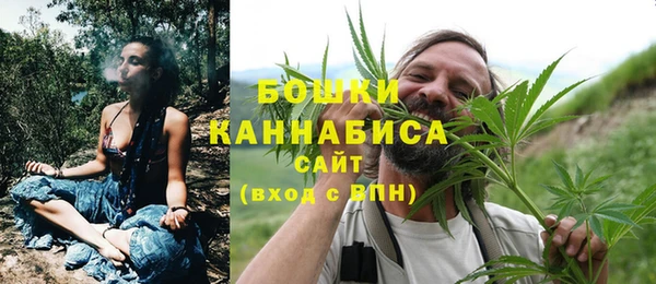 индика Козловка