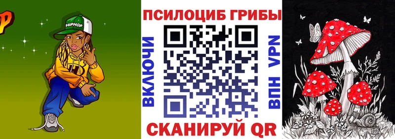 Псилоцибиновые грибы Psilocybine cubensis  Кашира 