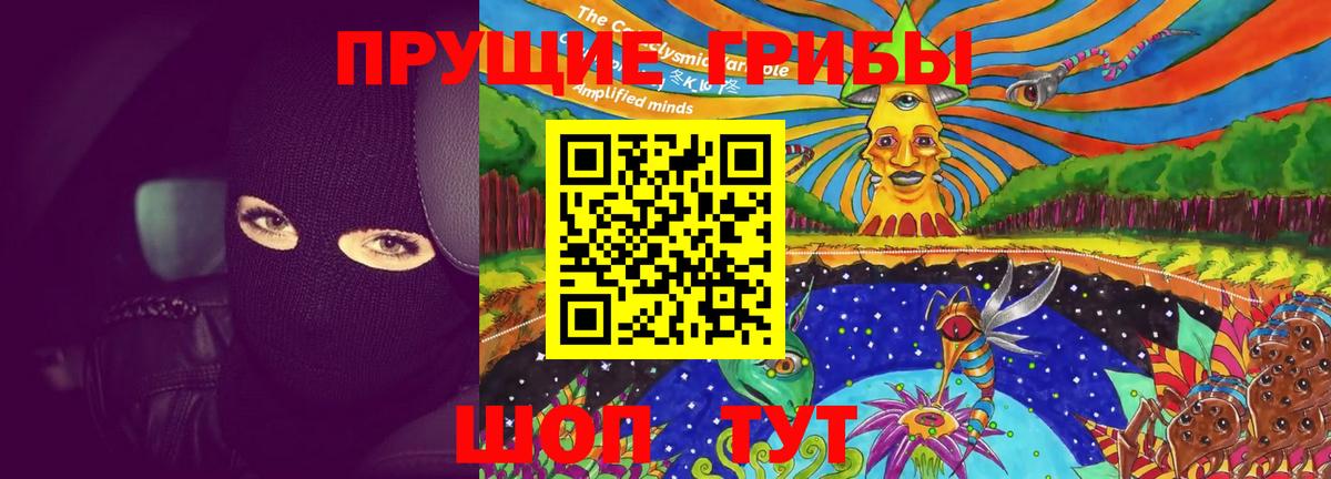 Галлюциногенные грибы MAGIC MUSHROOMS  Вход с VPN  Кашира 